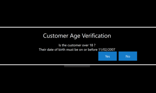 Age Verification Prompt